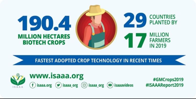 Africa Leads Progress in Biotech Crop Adoption with Doubled Number of Planting Countries in 2019, ISAAA Reports